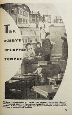 Промышленность Наркомлеса СССР от VI к VII съезду Советов Союза ССР. М.; Л.: Гослестехиздат, 1935.